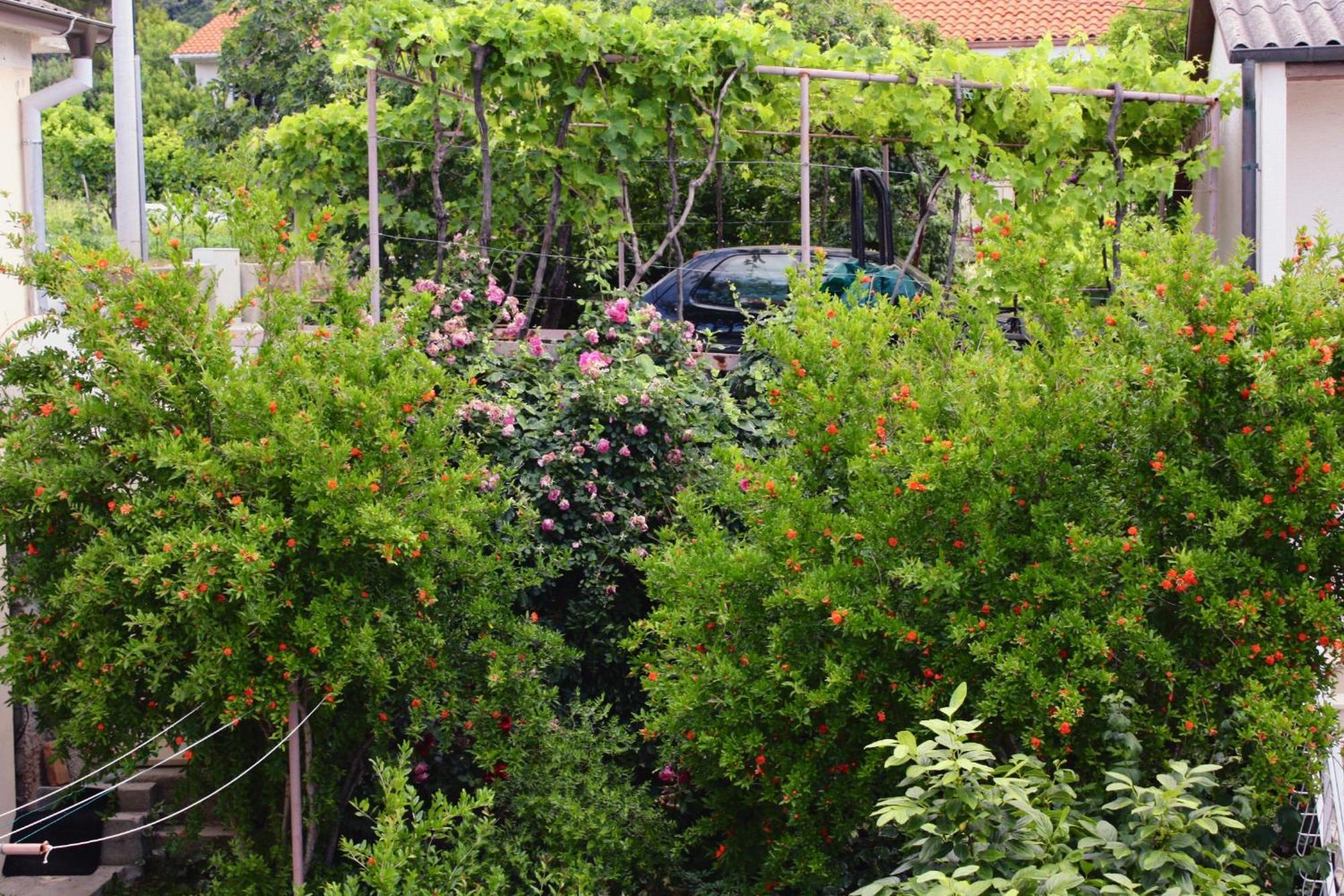 Apartments And Rooms By The Sea Barbat, Rab - 4973 Rab Town Eksteriør bilde